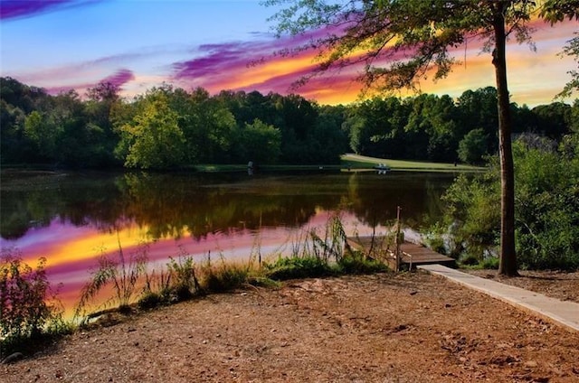 property view of water with a boat dock