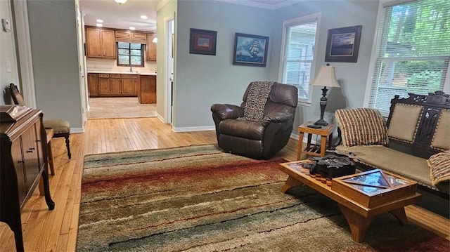living room featuring light wood-type flooring, ornamental molding, and baseboards