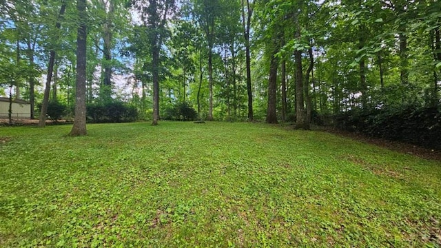 view of grassy yard