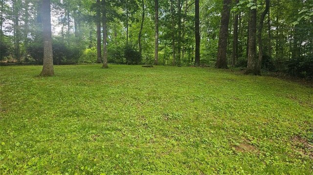 view of green lawn