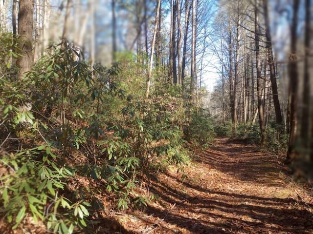 000 Fortenberry Rd, Blairsville GA, 30512 land for sale