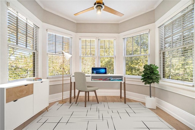 1156 Piedmont Ave NE Unit B3, Atlanta, GA 30309 - office space featuring ceiling fan, healthy amount of natural light, and ornamental molding