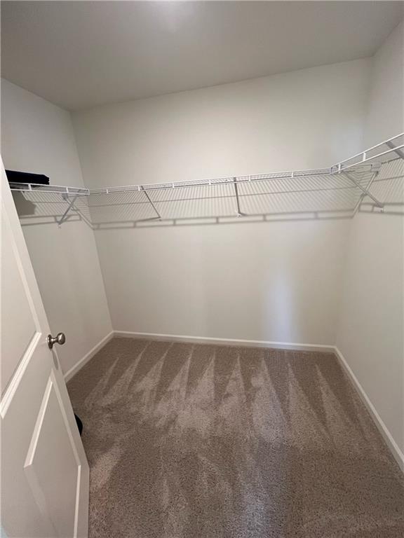 1567 Aiden Way Unit 34, Conyers, GA 30013 - spacious closet featuring carpet floors