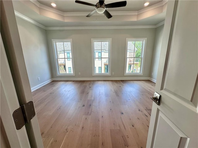 empty room featuring light wood-type flooring, a tray ceiling, and a healthy amount of sunlight
