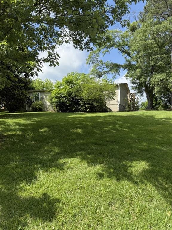 4282 By Pass, Loganville, GA 30052 - view of green lawn