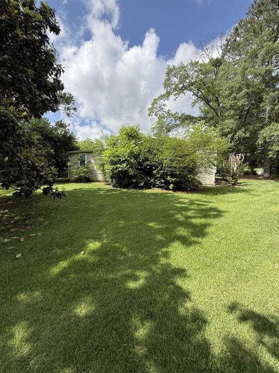 4282 By Pass, Loganville, GA 30052 - view of grassy yard