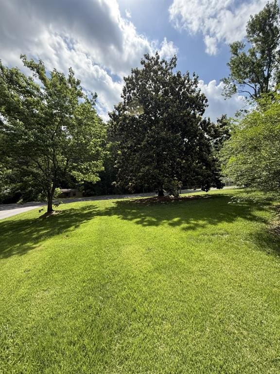 4282 By Pass, Loganville, GA 30052 - view of grassy yard