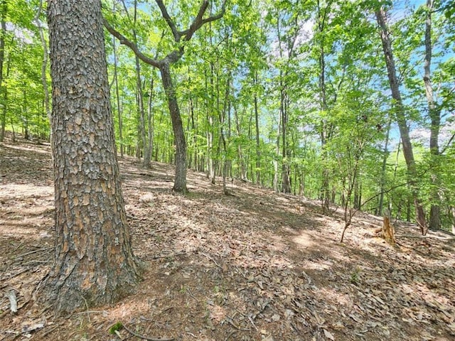 0 Turnbury Ln, Jasper, GA 30143