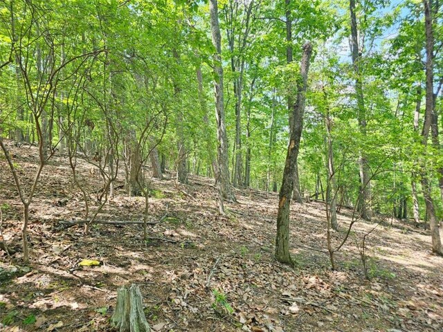 0 Turnbury Ln, Jasper, GA 30143