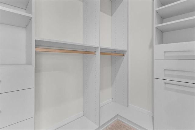 view of walk in closet