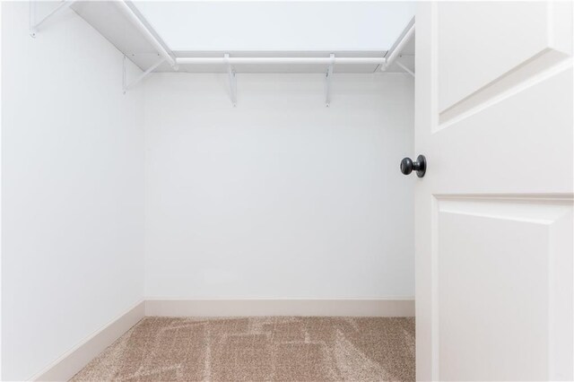 121 Hunters Ln, Powder Springs, GA 30127 - spacious closet with carpet