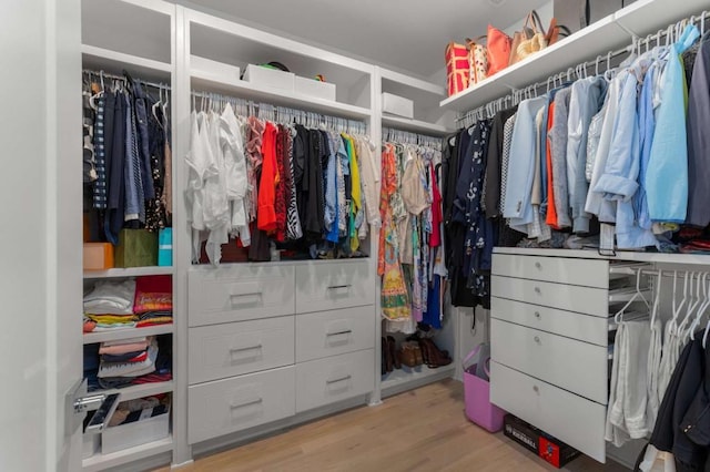 walk in closet with wood finished floors