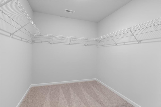 209 Chiswick Loop, Stockbridge, GA 30281 - walk in closet featuring carpet