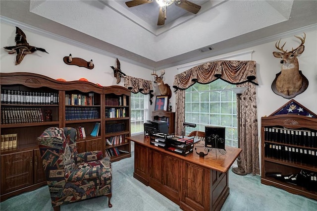 carpeted home office featuring ceiling fan, a tray ceiling, and plenty of natural light