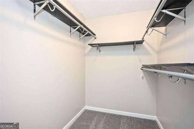 spacious closet with carpet flooring