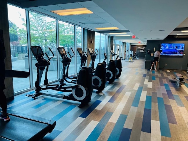 exercise room with a wall of windows and light colored carpet