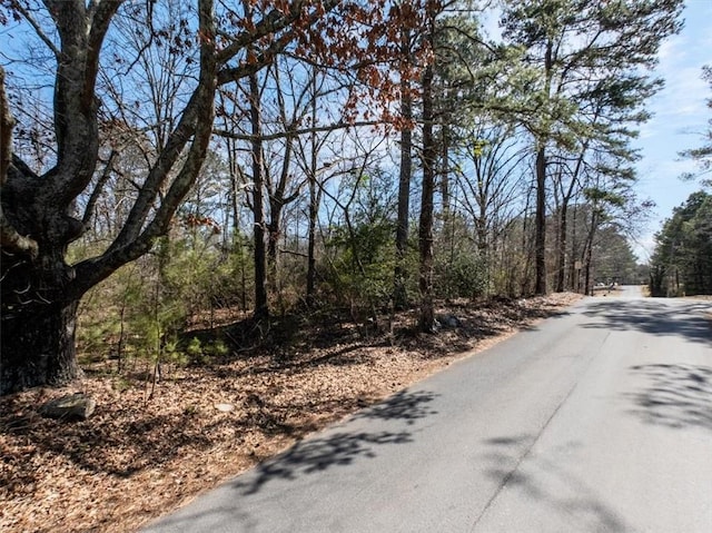 0 Damascus Rd, Ranger GA, 30734 land for sale