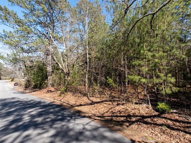 Listing photo 2 for 0 Damascus Rd, Ranger GA 30734