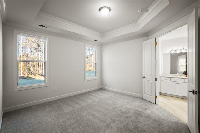 unfurnished bedroom with light colored carpet, sink, a raised ceiling, and ensuite bath