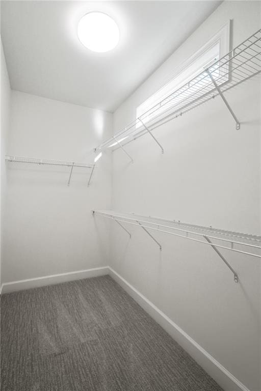 spacious closet featuring dark colored carpet