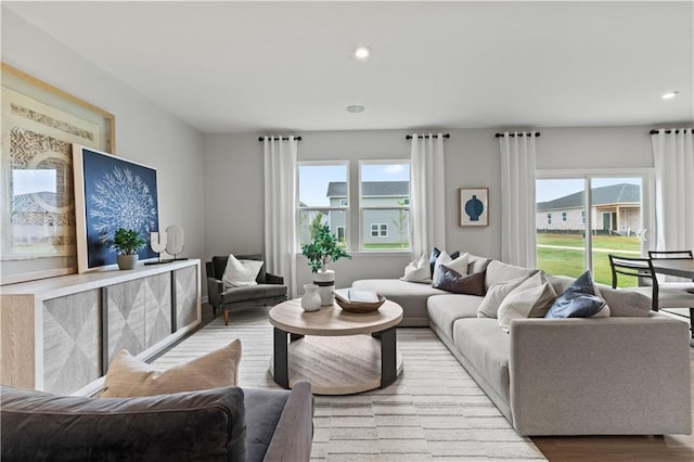 living room featuring a healthy amount of sunlight and light hardwood / wood-style floors