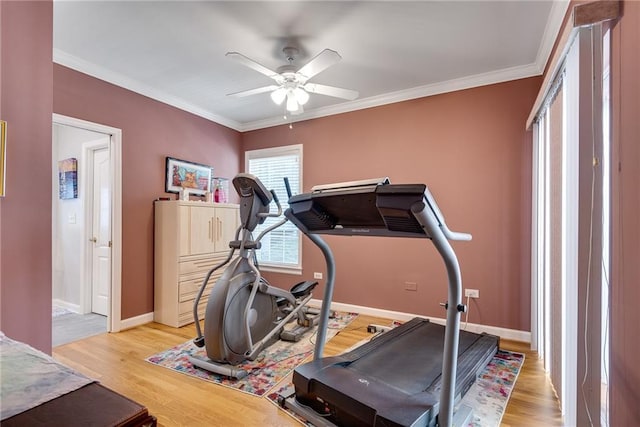 exercise room featuring light wood-style floors, a ceiling fan, baseboards, and crown molding