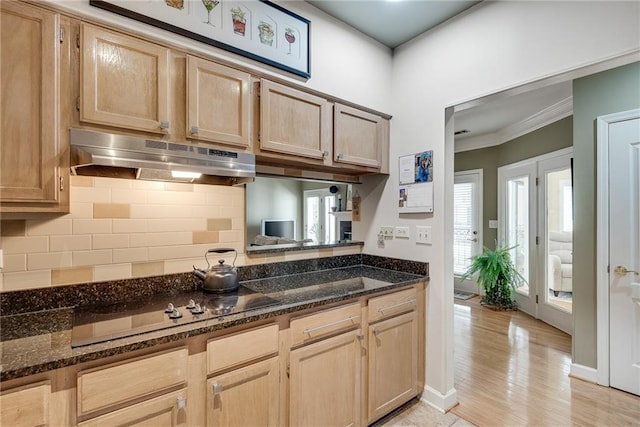 kitchen with black electric cooktop, backsplash, under cabinet range hood, and dark stone countertops