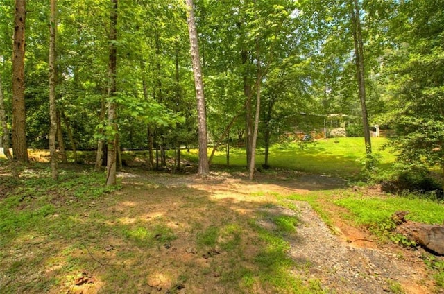 51 Ocoee Trl, Blue Ridge, GA 30513 - view of yard