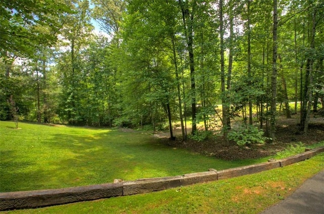 51 Ocoee Trl, Blue Ridge, GA 30513 - view of green lawn