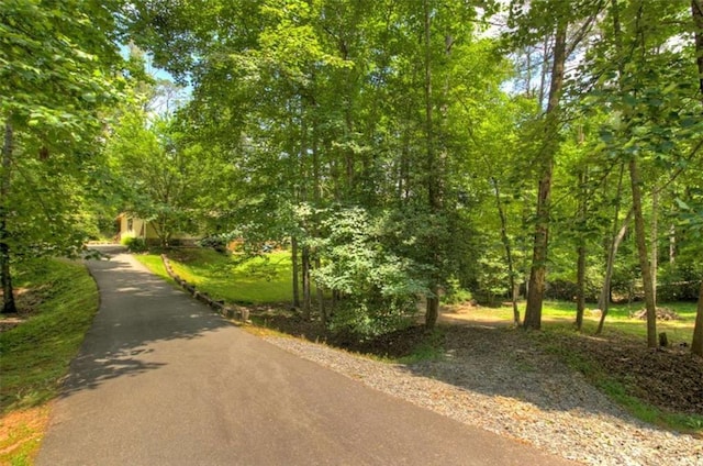 51 Ocoee Trl, Blue Ridge, GA 30513 - view of asphalt driveway