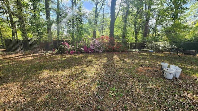 402 Emmett St, Riverdale, GA 30165 - view of fenced backyard