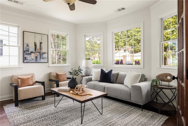 178 Mayson Ave NE, Atlanta, GA 30307 - living room featuring wood finished floors, a ceiling fan, healthy amount of natural light, and crown molding