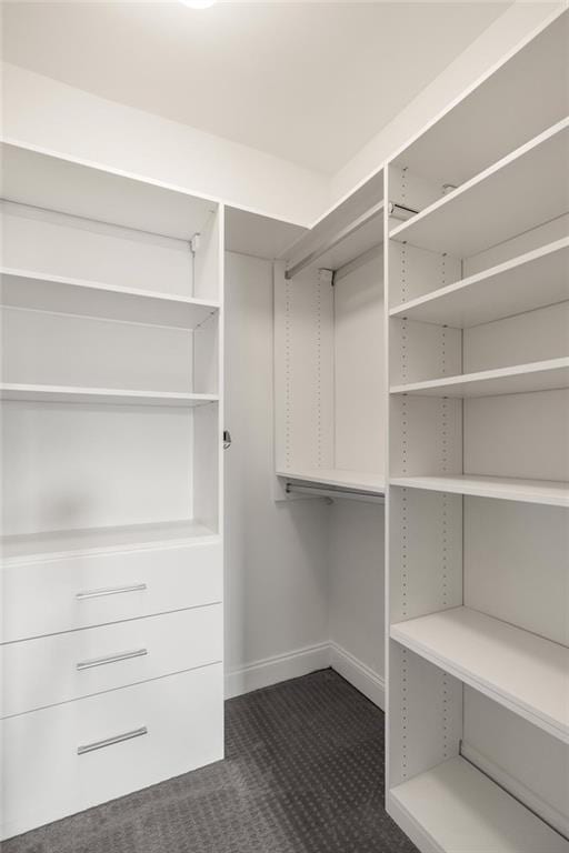 178 Mayson Ave NE, Atlanta, GA 30307 - view of walk in closet