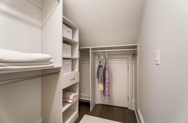 walk in closet featuring dark hardwood / wood-style flooring