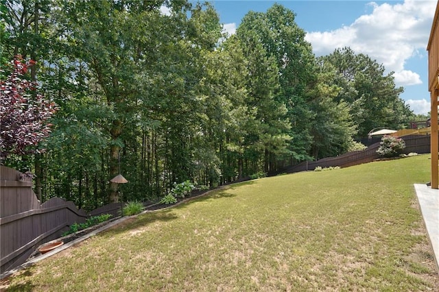 2359 Saint Kennedy Ln, Buford, GA 30518 - view of fenced backyard