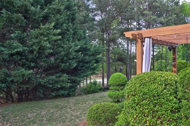 802 Dusky Sap Ct, Griffin, GA 30223 - view of green lawn featuring a pergola