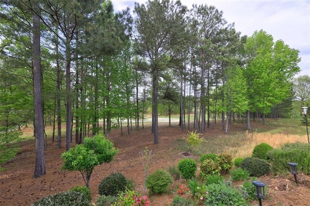 802 Dusky Sap Ct, Griffin, GA 30223 - view of yard