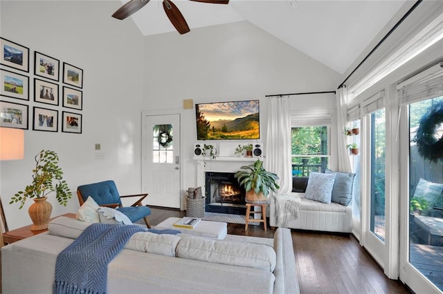 770 Barnett St NE, Atlanta, GA 30306 - living area with high vaulted ceiling, plenty of natural light, ceiling fan, dark wood-style flooring, and a fireplace with flush hearth