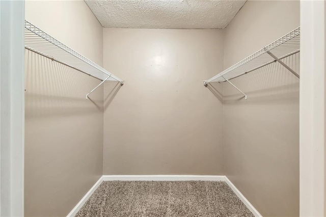 912 Third St, Stone Mountain, GA 30083 - spacious closet with carpet