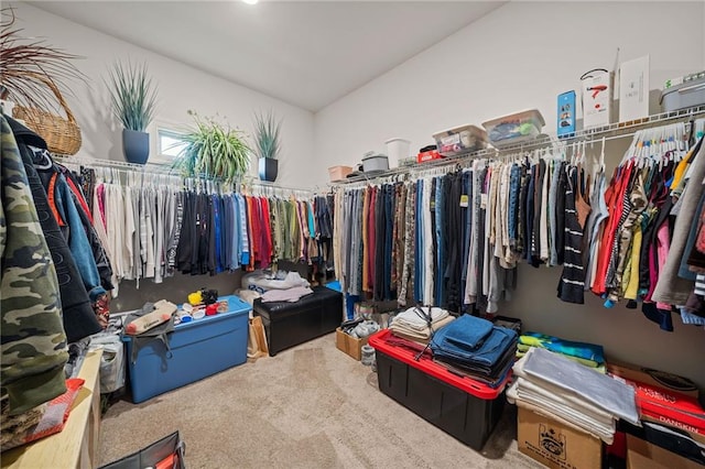 spacious closet with carpet flooring