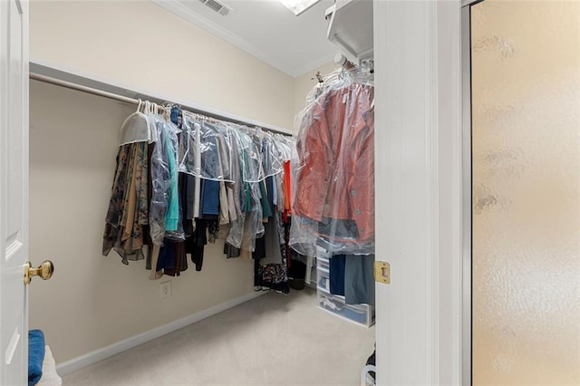 walk in closet with carpet flooring