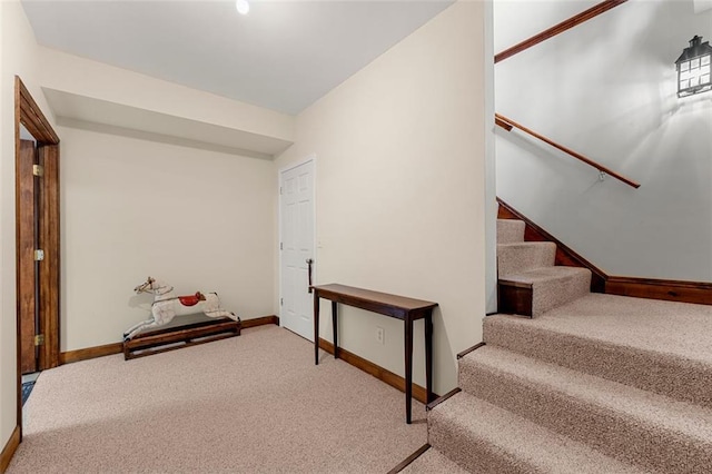 staircase with carpet floors