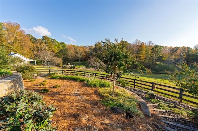 view of yard with a rural view