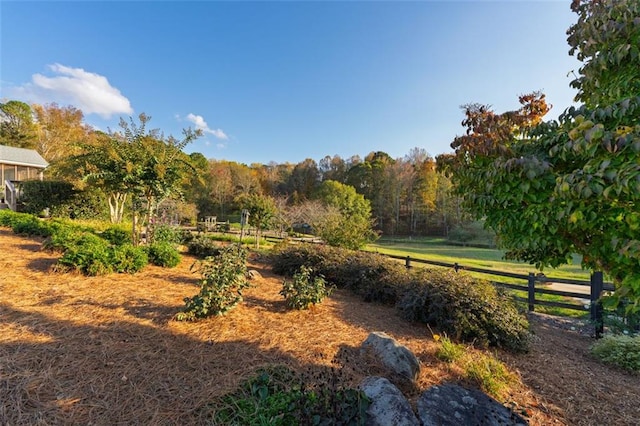 view of yard featuring a rural view