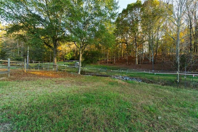 view of yard featuring a rural view