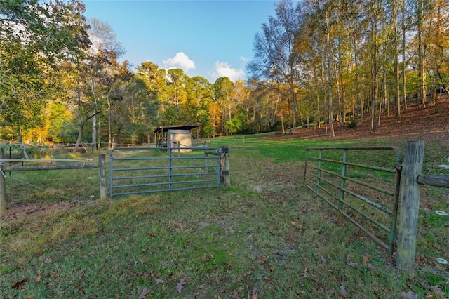 view of yard with a rural view