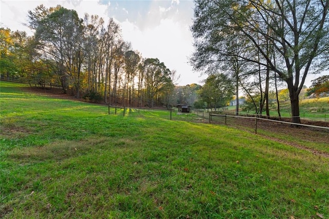 view of yard with a rural view