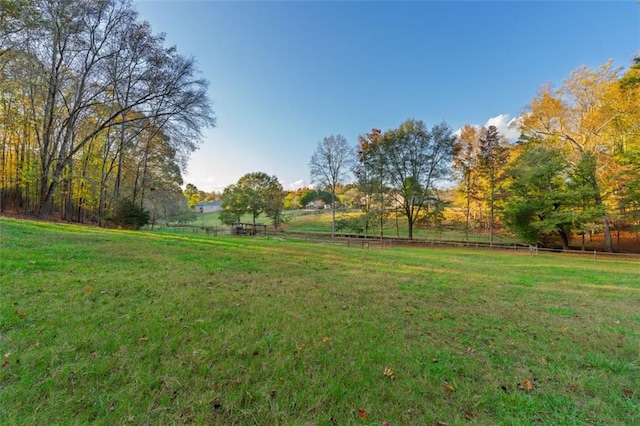 view of yard with a rural view