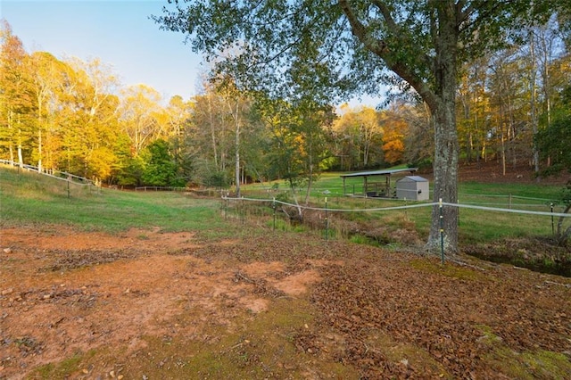 view of yard featuring a shed