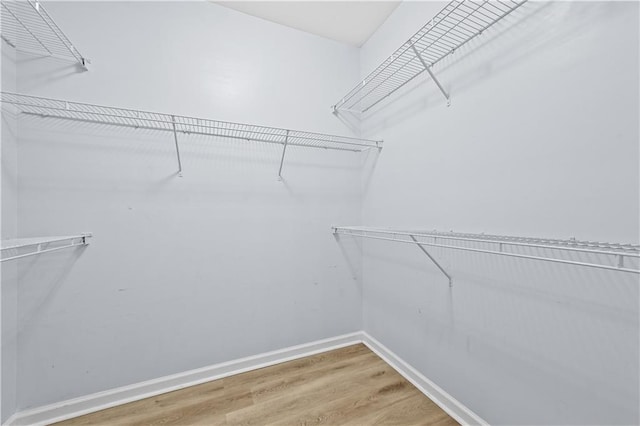 spacious closet featuring wood-type flooring